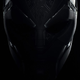 close up of panther suit